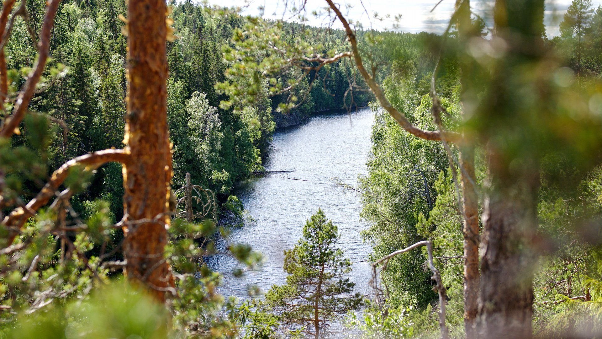 To Hell And Back In Helvetinjaerven National Park One Man One Map